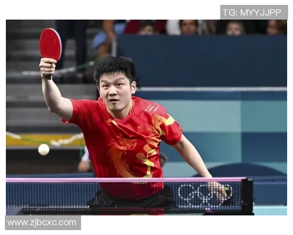 樊振东与波尔巅峰对决乒乓球赛场上的荣耀与挑战之战